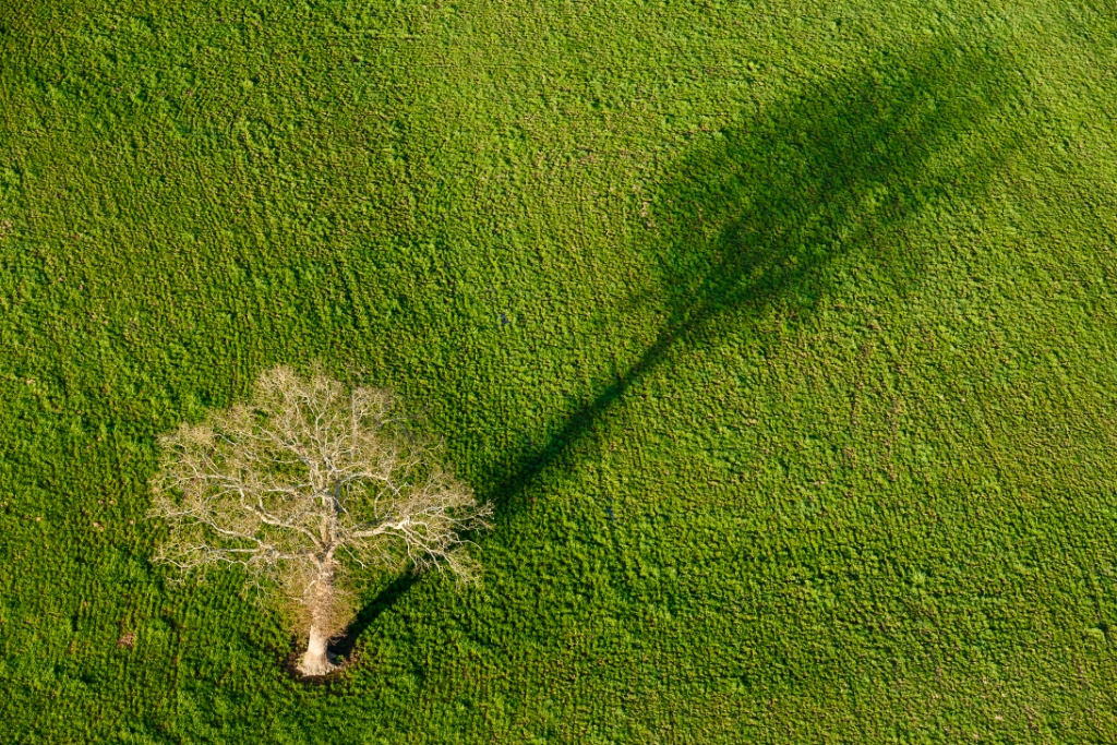 Image principale ZAC La Belle Etoile