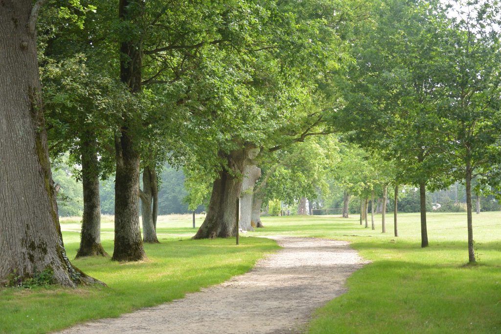 Image principale Le Domaine des Artistes