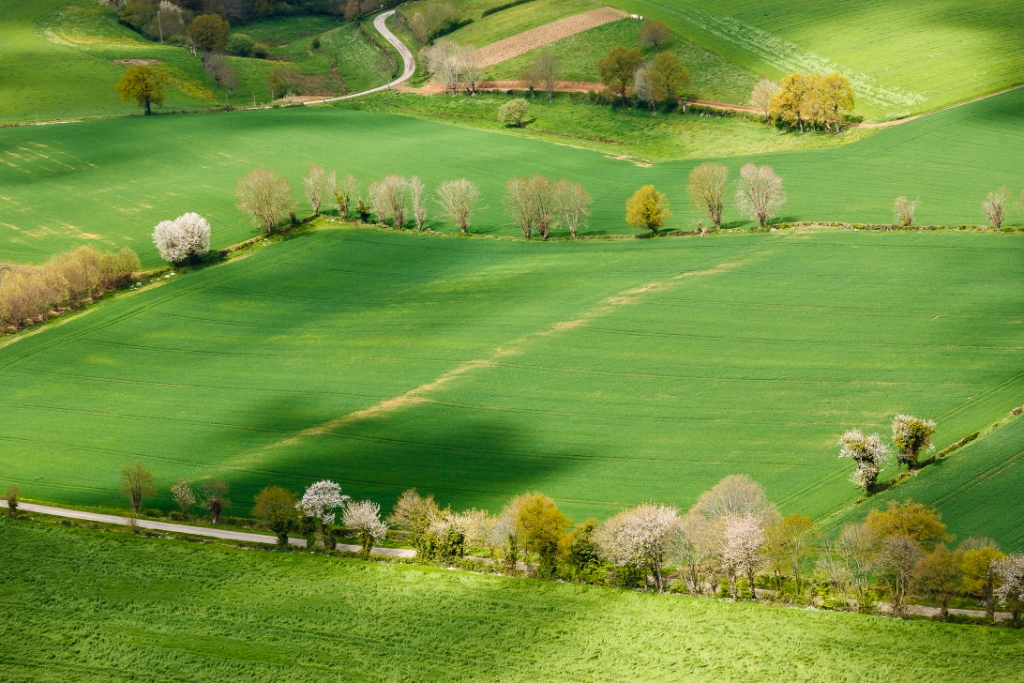 Image principale Le Pré des Landes